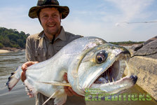 Ein Angler hält stolz einen beeindruckend großen Fisch mit kräftigen Zähnen am Ufer eines norwegischen Flusses. Klare Wasseroberfläche und felsige Umgebung in Südwest-Norwegen vermitteln Abenteuerlust und Angelspaß.