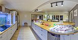 Moderne Küche in Nordland, Norwegen: Helle Holzelemente, großzügige Arbeitsplatten, Einbauleuchten und offene Raumgestaltung. Perfekt für Angelurlauber zum Kochen frischer Fänge. Entspannende Atmosphäre in skandinavischem Design.