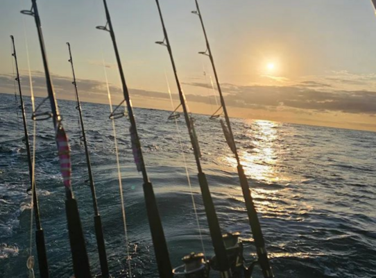 Angelruten auf einem Boot bei Sonnenuntergang in São Vicente, Kapverden. Das Meer glitzert im Sonnenlicht, perfekte Bedingungen für einen erfolgreichen Angelurlaub. Abenteuer und Entspannung auf dem Wasser erwartet euch.