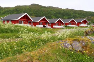 Rote Holzhäuser in Nord-Norwegen umgeben von blühenden Wiesen und grünen Hügeln. Ideal für Erholung und Angelurlaub in malerischer Landschaft. Perfekter Ausgangspunkt für unvergessliche Naturerlebnisse und entspannende Angelreisen.