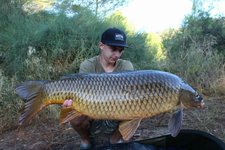 Eine Person hält einen großen, glänzenden Karpfen vor einer grünen, bewachsenen Kulisse in die Kamera.