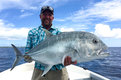 Ein Angler hält einen großen Giant Trevally auf einem Boot vor der Küste von Kiritimati, Kiribati. Blauer Himmel und ruhiges Meer im Hintergrund. Ideal für Angelreisen und Meeresangeln-Abenteuer.
