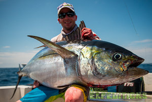 Ein Angler posiert stolz mit einem beeindruckenden großen Thunfisch an der Tuna Coast in Panama. Perfektes Reiseziel für abenteuerlustige Angelliebhaber, die reiche Meeresfänge und einzigartige Erlebnisse im Angelurlaub suchen.