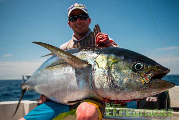 Angelreisen nach Gruppenreise - Expeditions Tuna Challenge! - Tuna Coast