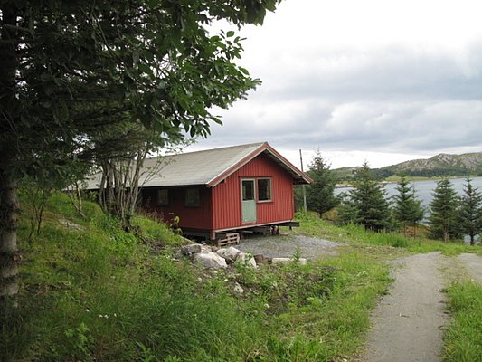 Rote Holzhütte in Nordland, Norwegen, umgeben von üppigem Grün und nah am Wasser. Ideal für Angelreisen, bietet Ruhe und malerische Ausblicke. Perfekt für Abenteuerlustige und Erholungssuchende.