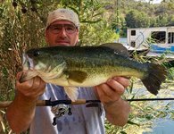 Ein Angler hält einen großen Schwarzbarsch in der Nähe eines Sees inmitten von Schilf und im Hintergrund ist ein Boot zu sehen.