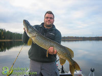 Ein Angler hält stolz einen gefangenen Hecht auf einem Boot, umgeben von einem ruhigen See und bewaldetem Ufer im Hintergrund.