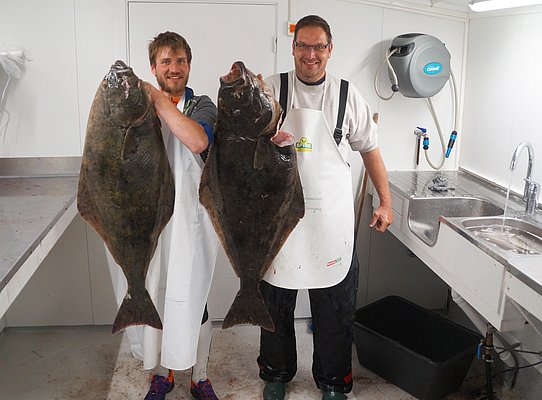 Angler präsentieren zwei beeindruckende Heilbutts in einer Küche in Nord-Norwegen. Perfekter Angelurlaub für Meeresangeln-Enthusiasten. Erlebe erstklassige Fischgründe und unvergessliche Abenteuer in Norwegen. Ideal für passionierte Angler.
