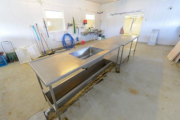 Moderner Fischverarbeitungsraum in Nordland, Norwegen, mit Edelstahlwaschbecken und Arbeitsfläche. Perfekt ausgestattet für Angler, um ihren Fang frisch zu halten und zu verarbeiten. Helle Wände und funktionelles Design.