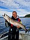 Angler auf Boot in Hitra, Norwegen, hält großen Fisch vor malerischer Fjordkulisse. Perfekter Angelurlaub für Abenteurer, die reiche Fischerlebnisse und beeindruckende Natur schätzen. Meeresangeln in unberührter Umgebung.