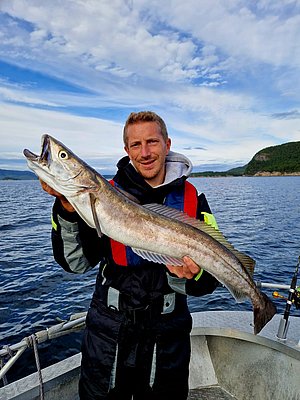 Angler auf Boot in Hitra, Norwegen, hält großen Fisch vor malerischer Fjordkulisse. Perfekter Angelurlaub für Abenteurer, die reiche Fischerlebnisse und beeindruckende Natur schätzen. Meeresangeln in unberührter Umgebung.