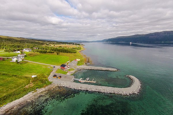 Luftaufnahme einer idyllischen Küstenlandschaft in Nord-Norwegen mit grünem Land, farbigen Häusern und ruhigem, klaren Wasser. Perfekter Ort für Angelreisen und Naturerkundungen in skandinavischer Umgebung.