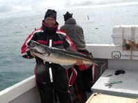 Ein Angler auf einem Boot hält einen großen Fisch, möglicherweise einen Seelachs, während er auf dem Meer in Island lächelt.