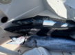 Frischer Fang großer Fische in einem Boot auf Sao Vicente, Kapverden. Perfekt für Meeresangeln-Liebhaber. Die glänzenden Fische unterstreichen die reichen Fangmöglichkeiten dieser exotischen Angelregion. Abenteuer und Erfolg garantiert.