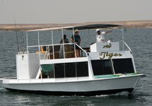 Ein weißes Boot mit dem Namen "Tiger" fährt auf einem Gewässer, während drei Personen an Bord stehen.