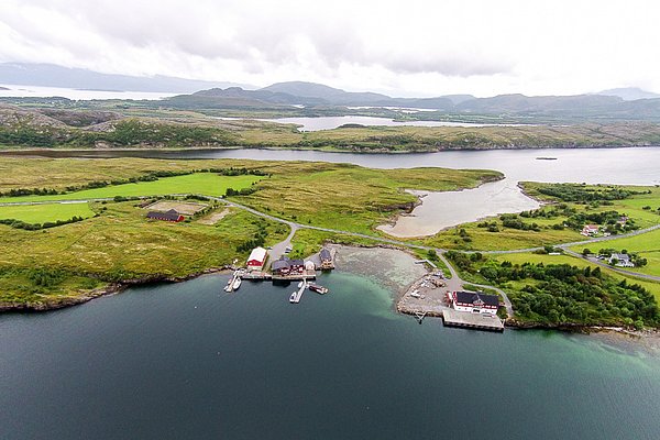 Luftaufnahme der idyllischen Küstenlandschaft in Nordland, Norwegen: grüne Wiesen, kleiner Bootshafen und beeindruckende Fjorde. Ideal für Angelreisen, Abenteuer und Erholung in malerischer Umgebung. Perfekter Ausgangspunkt für unvergessliche Angelabenteuer.