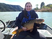 Eine Person in einer blauen Jacke hält eine große Karpfenart in einem Boot auf einem See mit bewaldeten Hügeln im Hintergrund.