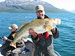 Zwei Angler in einem Boot, einer hält einen großen Kabeljau. Die beeindruckende Kulisse Nord-Norwegens mit schneebedeckten Bergen und klarem Wasser betont die perfekte Umgebung für Angelreisen und Abenteuer.