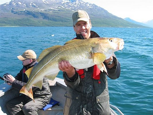 Zwei Angler in einem Boot, einer hält einen großen Kabeljau. Die beeindruckende Kulisse Nord-Norwegens mit schneebedeckten Bergen und klarem Wasser betont die perfekte Umgebung für Angelreisen und Abenteuer.