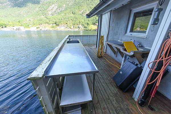 Fischverarbeitungsbereich in Hitra, Norwegen: Holzterrasse mit Edelstahl-Arbeitsfläche, Spüle, Blick auf malerische Fjordlandschaft, ideal für Angler im Angelurlaub. Perfekte Kombination aus Natur und Funktionalität für ein unvergessliches Meeresangelerlebnis.