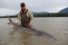 Eine Person in Anglerkleidung posiert knietief im Wasser mit einem großen Stör, umgeben von einer malerischen Landschaft mit Bergen im Hintergrund.