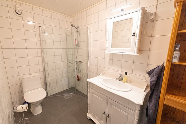 Helles Badezimmer in Nord-Norwegen mit moderner Dusche, WC, weißem Waschbecken und praktischem Spiegelschrank. Ideal für erholsamen Angelurlaub. Barrierefreiheit durch ebenerdigen Zugang, komfortable Ausstattung für größtmögliche Entspannung.