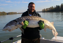 Ein Mann in grünen Handschuhen hält einen großen Stör auf einem Boot vor einer malerischen Flusslandschaft.