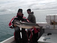 Zwei Personen stehen auf einem Boot und eine von ihnen hält einen großen Fisch, vermutlich einen Köhler, während im Hintergrund das Meer und Wolken zu sehen sind.