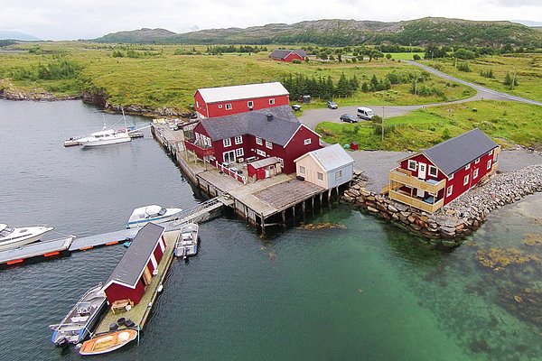 Küstenlandschaft in Nordland, Norwegen: Rote Holzhäuser am Wasser, umgeben von grüner Natur. Boote an Stegen bieten perfekte Angelmöglichkeiten. Ein idyllischer Rückzugsort für Naturliebhaber. Perfekte Lage für Angelreisen und Erholung.