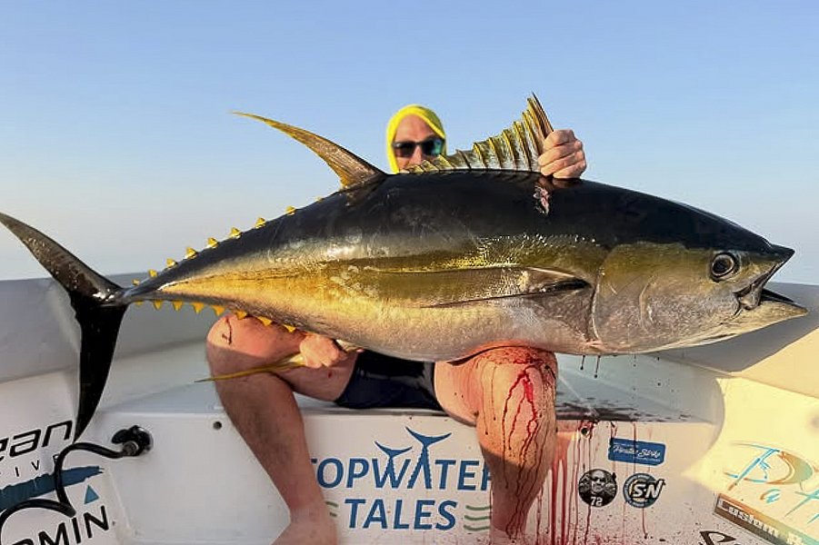 Ein beeindruckender, großer Thunfisch liegt auf einem Boot bei einer Angeltour in Süd-Norwegen. Perfektes Ziel für leidenschaftliche Angler, die Abenteuer und reiche Fangchancen auf ihrer Angelreise suchen. Petri Heil!