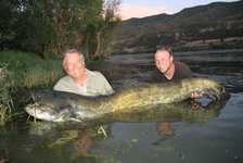 Zwei Männer stehen im Wasser und halten gemeinsam einen großen, gefangenen Wels.