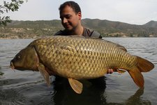 Ein Mann steht im Wasser eines Sees und hält einen großen Karpfen, im Hintergrund sind bewaldete Hügel zu sehen.