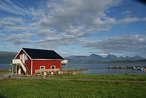 Rotes Holzhaus am Fjord in Nord-Norwegen, umgeben von dramatischen Bergen und blauem Himmel. Perfekter Ausgangspunkt für Angelreisen und Naturerlebnisse in malerischer Umgebung mit atemberaubender Aussicht. Ideal für Abenteuerlustige und Naturliebhaber.