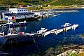 Ein idyllischer Hafen in Nordland, Norwegen, mit bunten Booten und klarblauem Wasser. Perfekte Kulisse für Angelreisen und Naturerlebnisse. Umgeben von sanften Hügeln und verstreuten Gebäuden. Ideal für Abenteuer und Erholung.