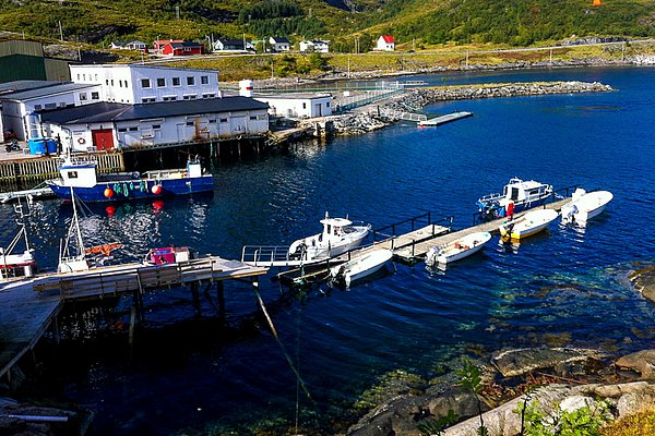Ein idyllischer Hafen in Nordland, Norwegen, mit bunten Booten und klarblauem Wasser. Perfekte Kulisse für Angelreisen und Naturerlebnisse. Umgeben von sanften Hügeln und verstreuten Gebäuden. Ideal für Abenteuer und Erholung.
