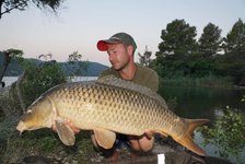 Ein Angler hält einen großen Karpfen am Ufer eines Sees, umgeben von Bäumen und hügeliger Landschaft.