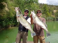 Zwei Männer posieren lächelnd mit jeweils einem großen Zander vor einer grünen, bewaldeten Flusslandschaft.
