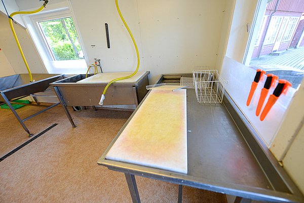 Moderne Anglerküche in Nordland, Norwegen: Edelstahl-Arbeitsfläche mit bunten Messern und Spülbecken, ideal zum Fischvorbereiten. Perfekt für passionierte Angler auf Angelreisen.