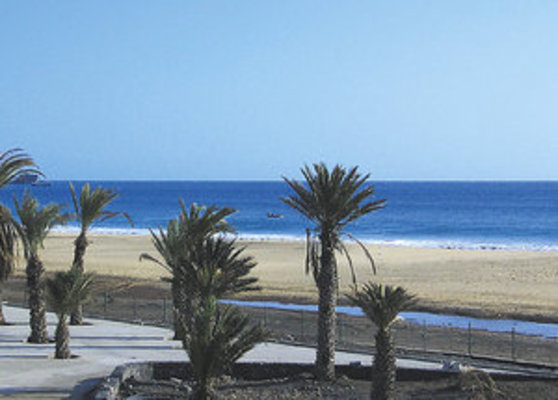 Ein sonniger Strand mit Palmen im Vordergrund und Blick auf das blaue Meer unter klarem Himmel. Ein sonniger Strand mit Palmen im Vordergrund und Blick auf das blaue Meer unter klarem Himmel.