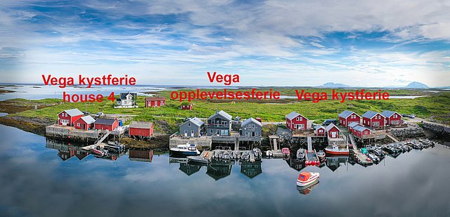 Luftaufnahme einer malerischen Küstenlandschaft in Nordland, Norwegen. Farbige Holzhäuser säumen die Küste der Vega-Inseln, umgeben von klarem Wasser und üppigem Grün. Perfekte Kulisse für Angelreisen und Naturerlebnisse in einer unberührten Umgebung.