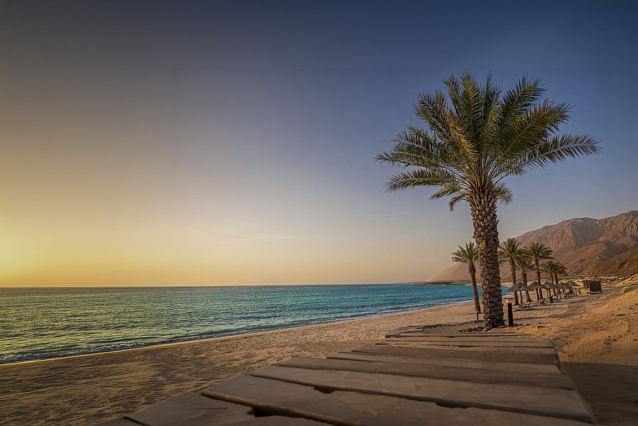 Ein idyllischer Strand in Süd-Norwegen mit Palmen, klarem Wasser und Bergen im Hintergrund bei Sonnenuntergang. Perfekter Ort für entspannte Angelurlaube und Naturabenteuer.