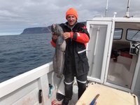 Eine Person in Winterkleidung hält einen gefangenen Seewolf an Bord eines Bootes vor einer felsigen Küste.