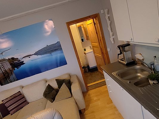 Gemütliche Ferienwohnung in Nordland, Norwegen mit moderner Küche und bequemen Sofas. Perfekte Basis für Angelabenteuer und Erholung in beeindruckender Naturkulisse direkt am Wasser. Ideal für Angelreisende auf der Suche nach Komfort und Entspannung.