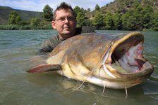 Ein Mann hält einen großen Wels in einem Seeuferbereich, umgeben von einer grünen Waldlandschaft im Hintergrund.