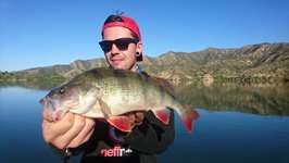 Ein Angler hält einen gefangenen Flussbarsch vor einer malerischen Bergkulisse an einem klaren See in der Hand.