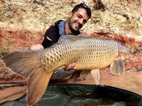 Ein lächelnder Mann hält einen großen Karpfen vor einer felsigen, farbigen Kulisse in die Kamera.