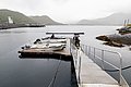 Ein ruhiger Hafen in Nordland, Norwegen, mit angedockten Fischerbooten, umgeben von malerischen Bergen und nebligem Himmel – ein idealer Ausgangspunkt für einen abenteuerlichen Angelurlaub.