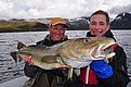 Zwei Angler präsentieren stolz einen großen Dorsch vor der atemberaubenden Kulisse Nord-Norwegens mit schneebedeckten Bergen und klarem Wasser. Perfekter Angelurlaub in Norwegen für Abenteurer und Naturliebhaber.
