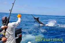 In Nord-Norwegen kämpft ein Angler im Boot gegen einen spektakulär springenden Fisch im blauen Meer. Perfektes Angelabenteuer für Adrenalin und Naturgenuss. Ideal für Angelreisen und Meeresangeln.