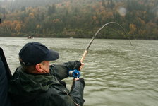 Eine Person in Regenkleidung und Baseballmütze angelt mit einer stark gebeugten Rute in einem Fluss mit herbstlich bewaldeten Ufern.